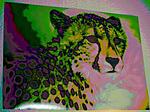 cheetah poster.v01