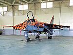 P4190175